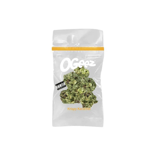 OGeez Salted Caramel 10g Chocolate